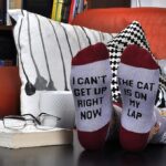 cat on lap socks
