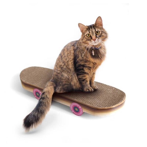 cat skateboard scratcher