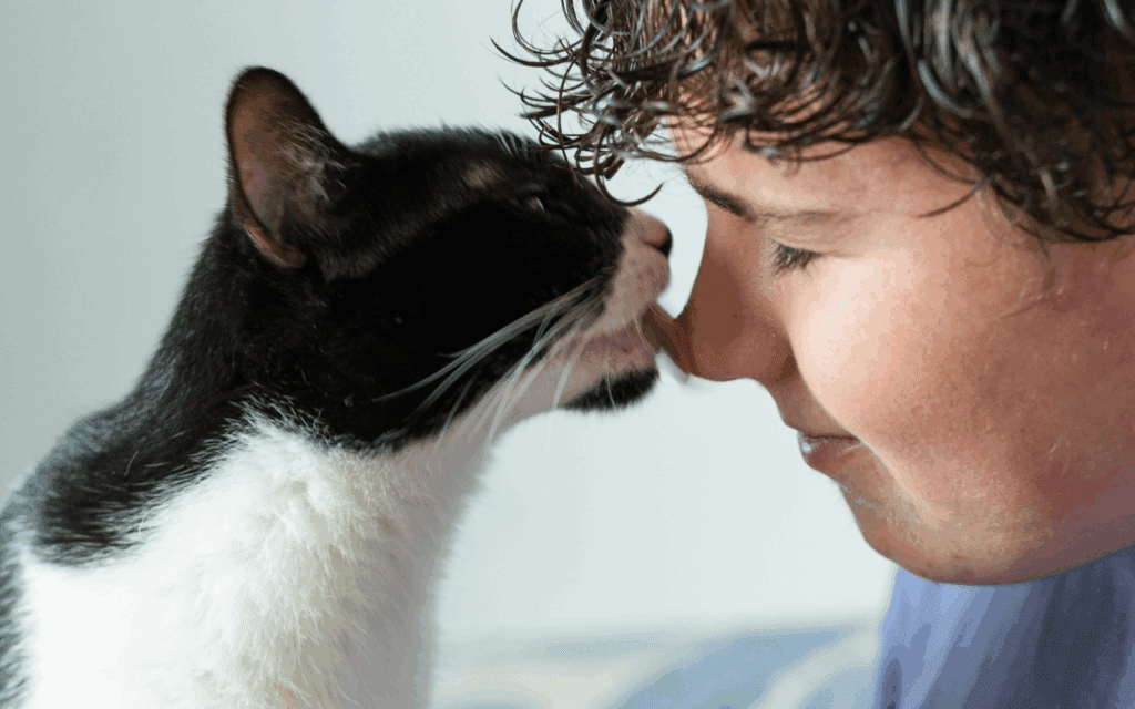 cat biting owners nose
