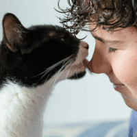 cat biting owners nose