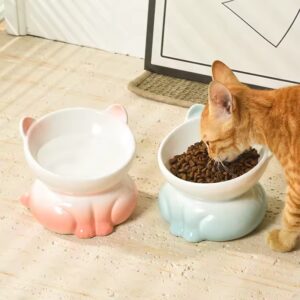 cat eating from bowl