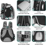 details about cat carry space capsule