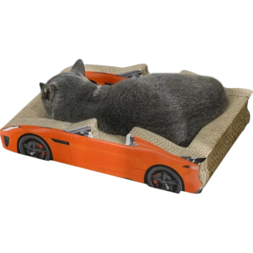 cat scratching racing car