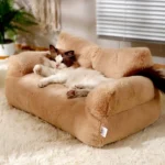 cat sofa bed