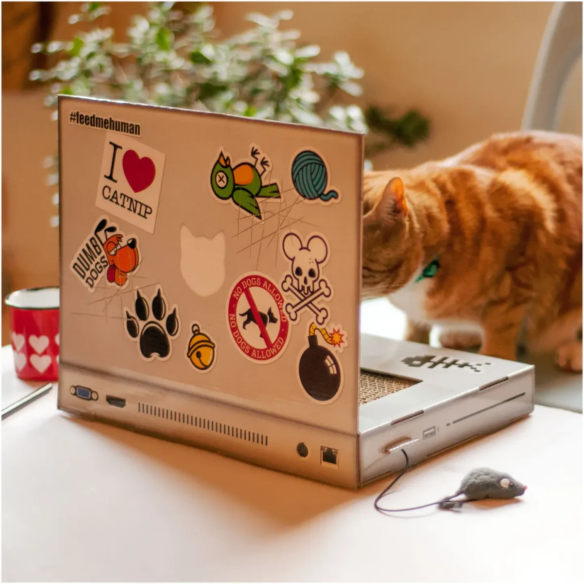 laptop scratch pad for cats
